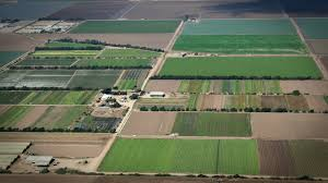 checkerboard farmland
